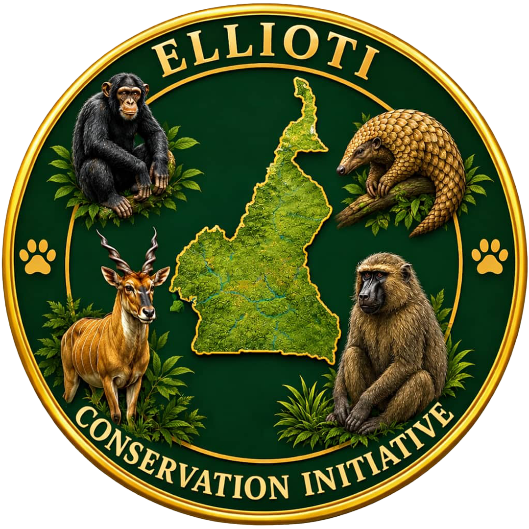 Ellioti Conservation Initiative logo